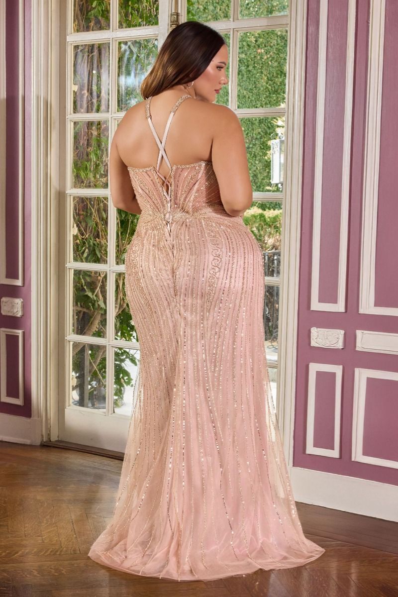 Ladivine CC416C Mia Bella The Label Ladivine CC416C Mia Bella The Label
