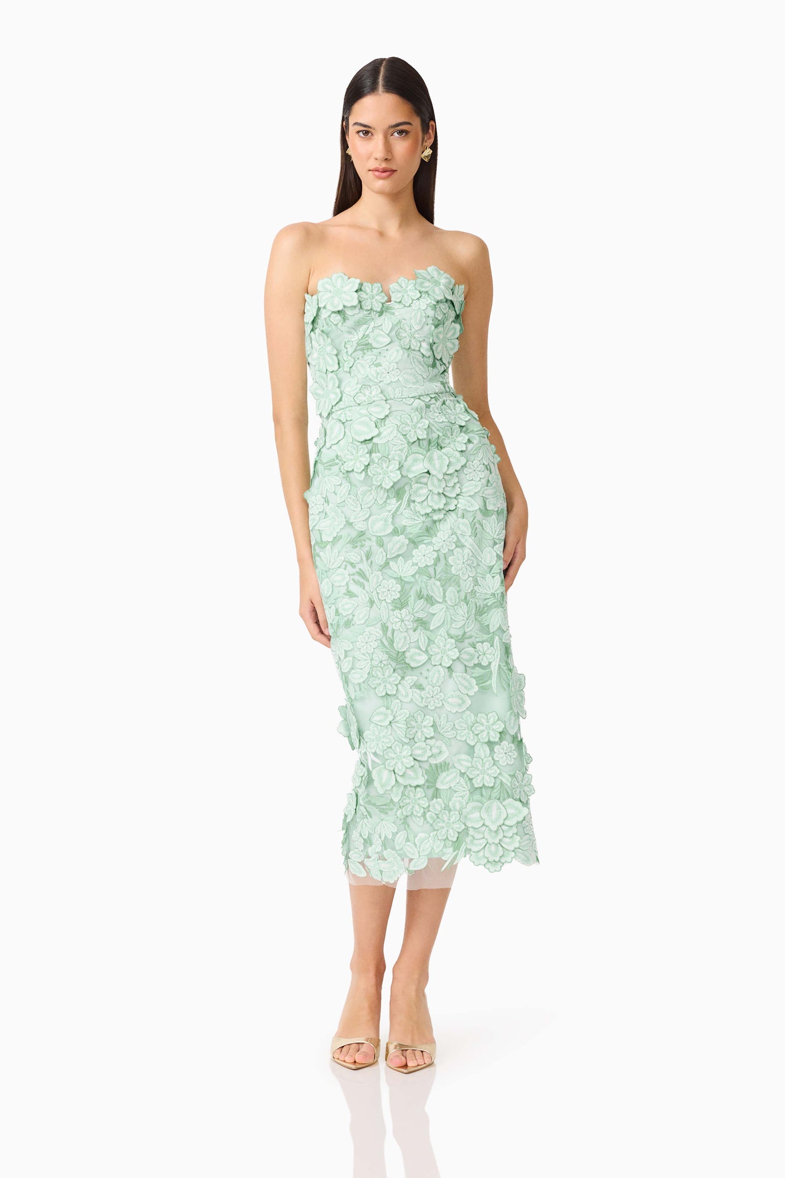 Elliatt Roseate