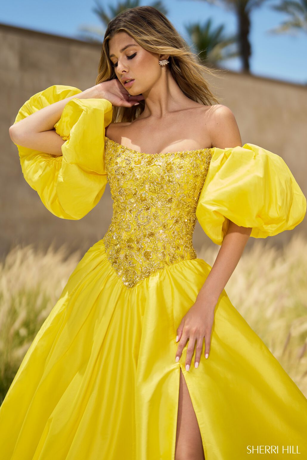 Sherri Hill 55641