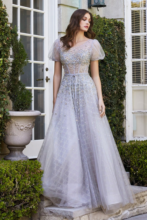 Bella divine dress 2025